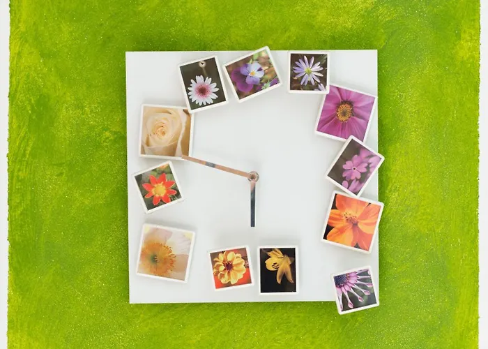 Italianway - Milano 38 - Carcentina ボルミオ